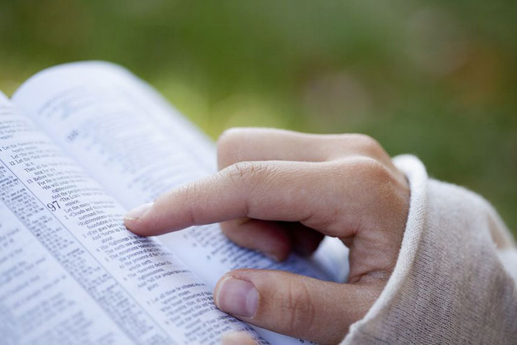 woman reading a Bible